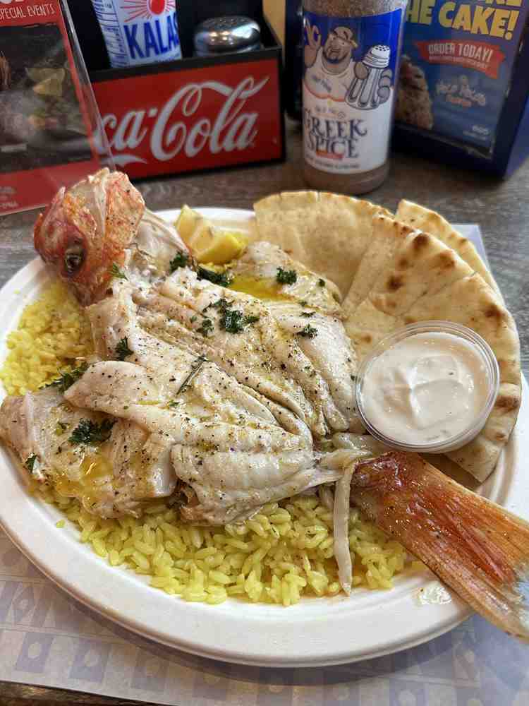 RED SNAPPER